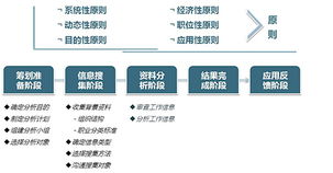 工作分析与组织效能提升 管理咨询公司的核心服务解析