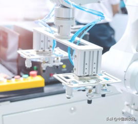 全国首部地方性化妆品法规出台 品牌如何在法规背景下选择优质宠物用品工厂