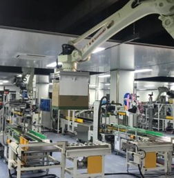 感受现代化发展 宠物用品的革新与未来趋势