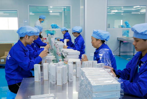 轩蔻化妆品与极蕊品牌代理 专业合作的机遇与前景